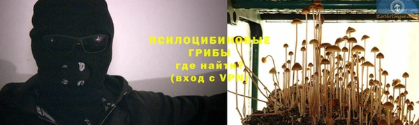 не бодяженный Алзамай