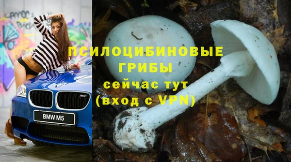 крисы Алексеевка